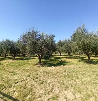 Foto annuncio 30