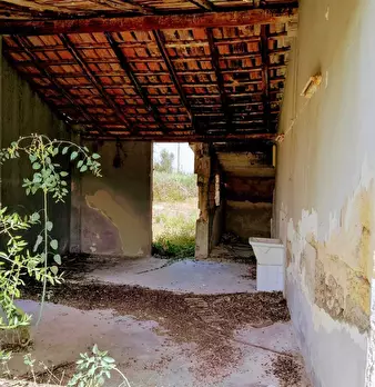 Foto annuncio 4