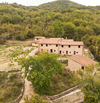 Foto annuncio 23