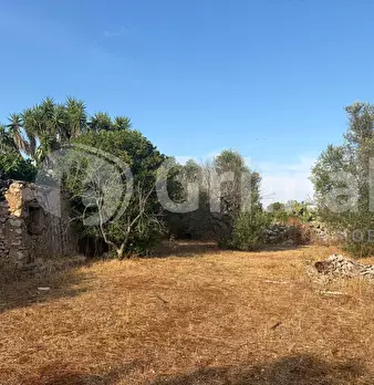 Foto annuncio 18