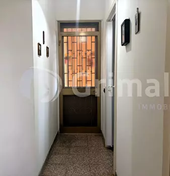 Foto annuncio 38