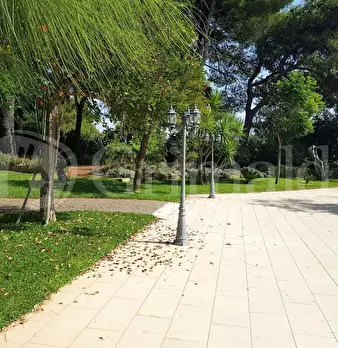 Foto annuncio 27