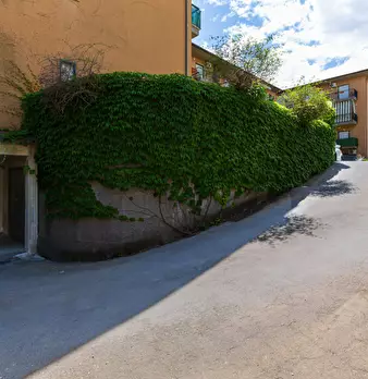 Foto annuncio 37