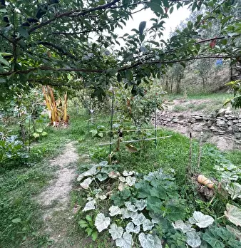Foto annuncio 35