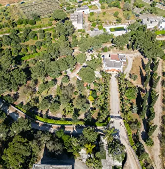 Foto annuncio 3