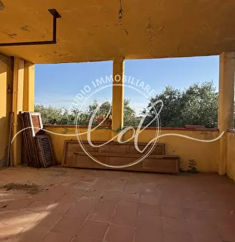 Foto annuncio 36