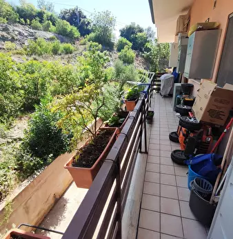 Foto annuncio 8