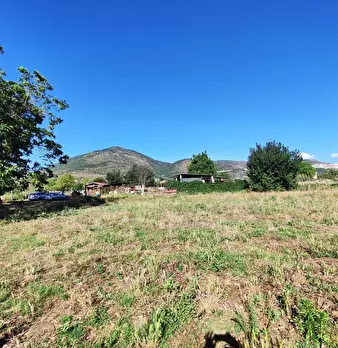 Foto annuncio 7