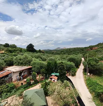 Foto annuncio 51