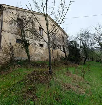 Foto annuncio 10
