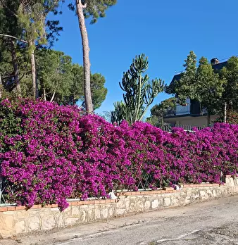 Foto annuncio 30