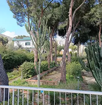 Foto annuncio 4