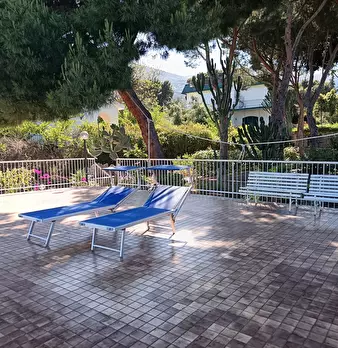 Foto annuncio 114
