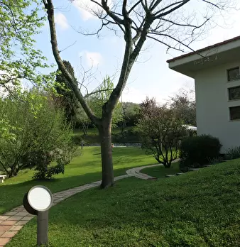 Foto annuncio 28