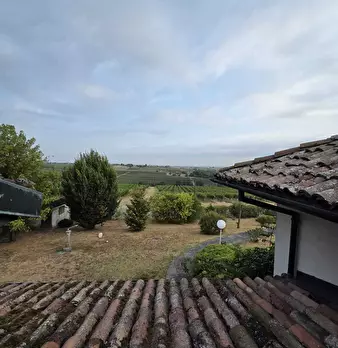 Foto annuncio 35
