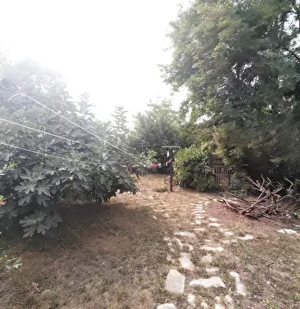 Foto annuncio 27