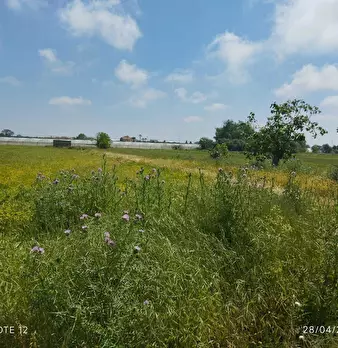 Foto annuncio 20