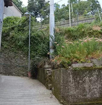 Foto annuncio 9