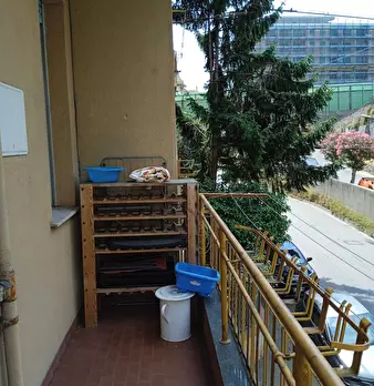 Foto annuncio 8