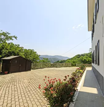 Foto annuncio 30