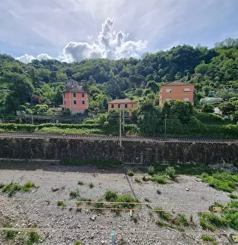 Foto annuncio 21