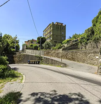 Foto annuncio 65