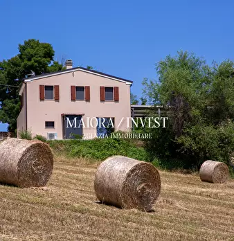 Foto annuncio 19