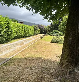 Foto annuncio 42