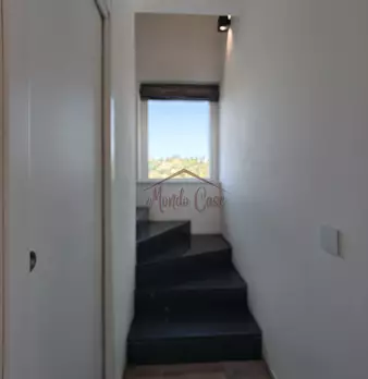 Foto annuncio 29