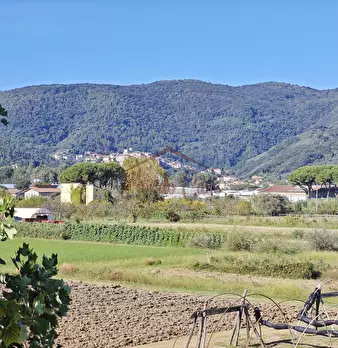 Foto annuncio 72