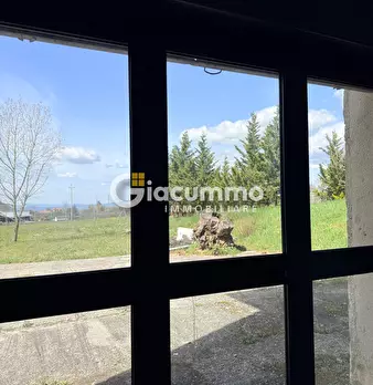 Foto annuncio 30