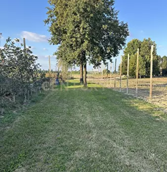 Foto annuncio 62