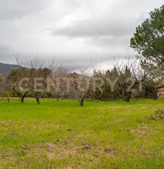 Foto annuncio 90