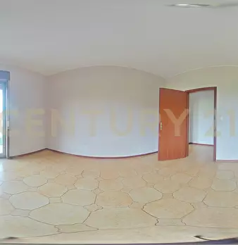Foto annuncio 52