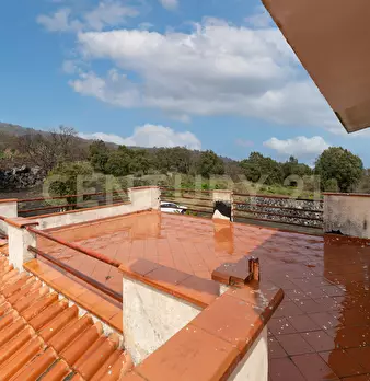 Foto annuncio 63