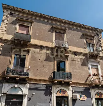 Foto annuncio 31