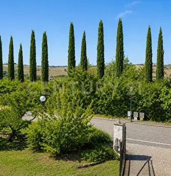 Foto annuncio 39