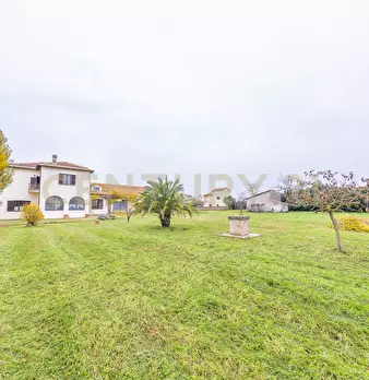 Foto annuncio 31