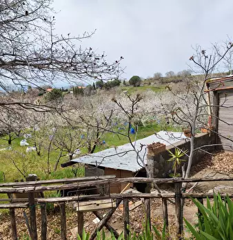 Foto annuncio 8
