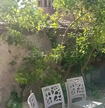 Foto annuncio 11
