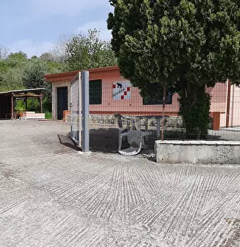 Foto annuncio 18