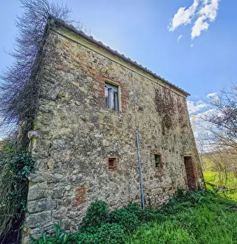 Foto annuncio 1