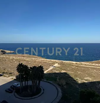 Foto annuncio 11