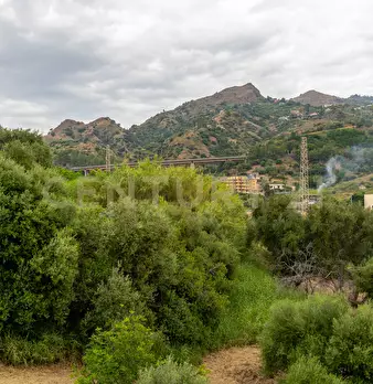 Foto annuncio 36