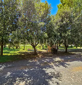 Foto annuncio 18