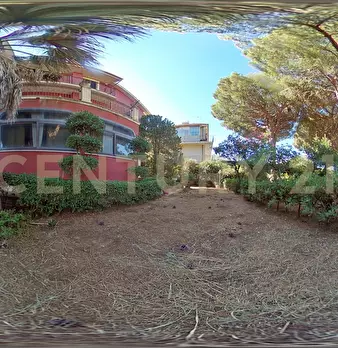 Foto annuncio 143