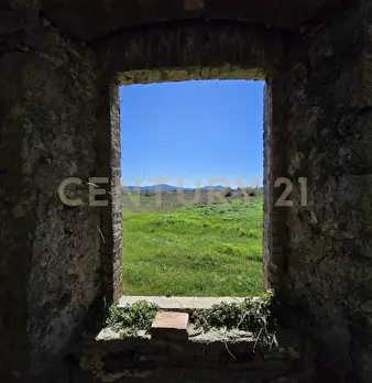 Foto annuncio 45