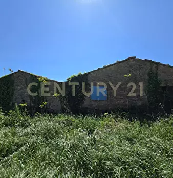 Foto annuncio 6