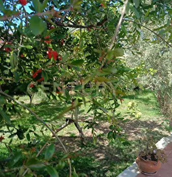Foto annuncio 26