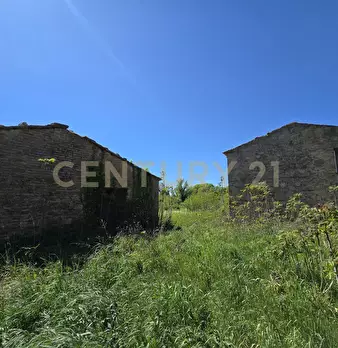 Foto annuncio 37